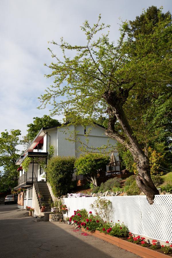 Cherry Tree Inn Saanich Buitenkant foto